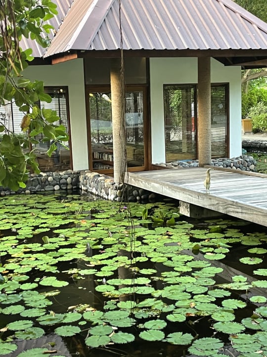 Lobby Filitheyo Island Resort