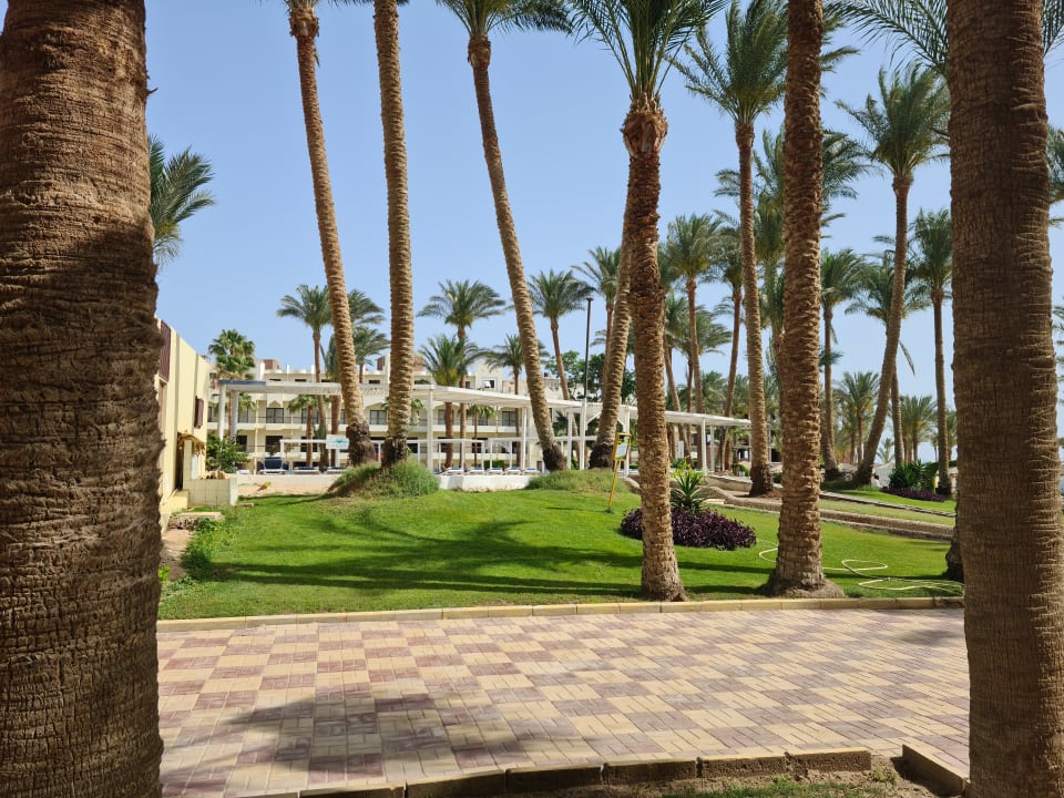 Gartenanlage Regina Resort and Aqua Park Hurghada
