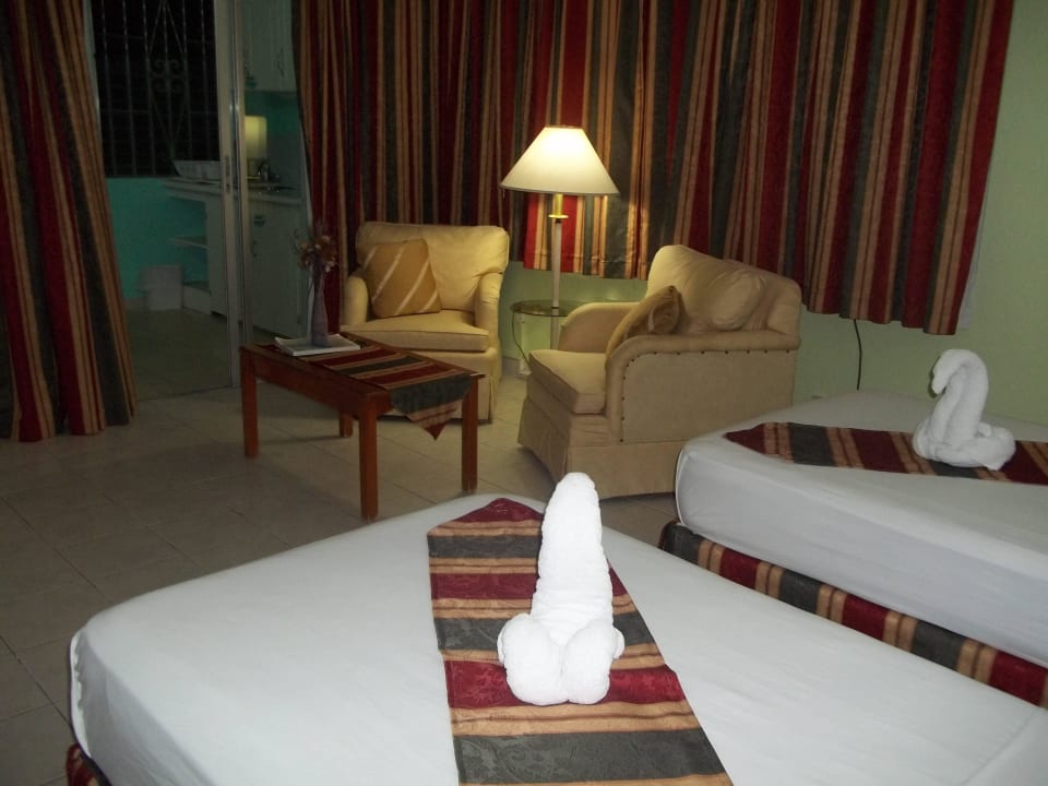 Superior studio Hotel Palm Garden