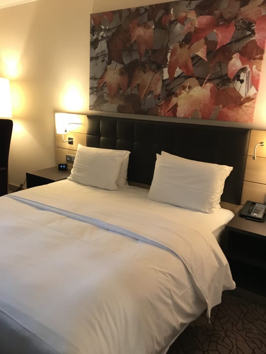 Zimmer Hilton Mainz