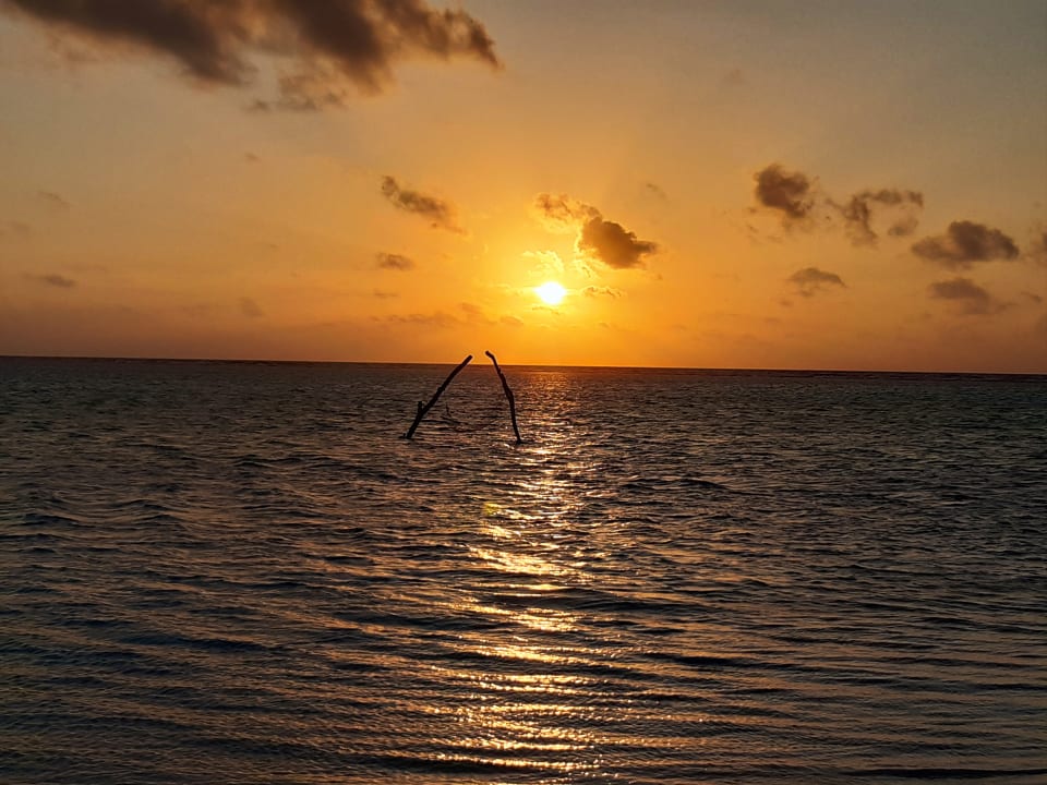 Ausblick Summer Island Maldives
