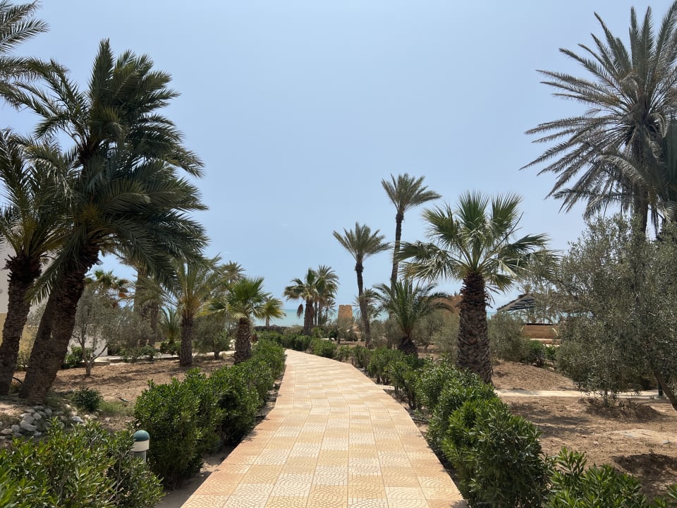 Gartenanlage Djerba Castille