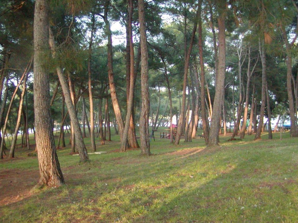 Parkanlage Hotel Parentium Plava Laguna