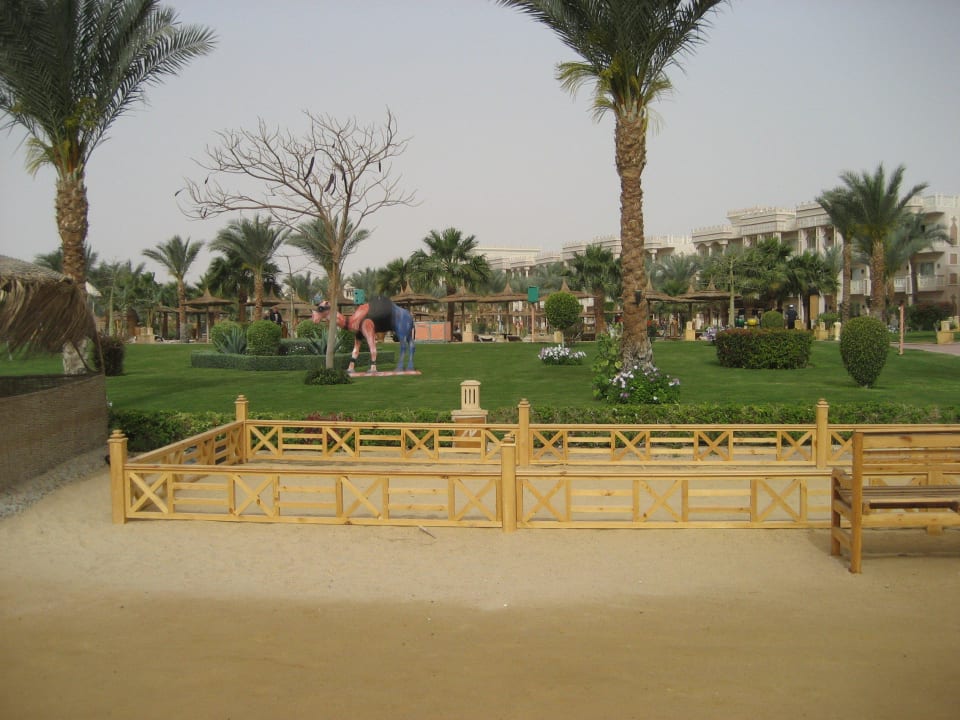 Strand Pickalbatros Palace Resort