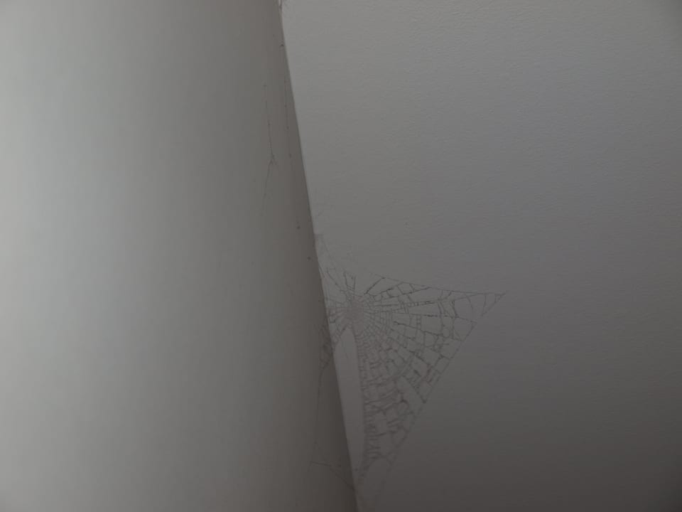 Spinnenweben im Zimmer  Strandhotel Zingst