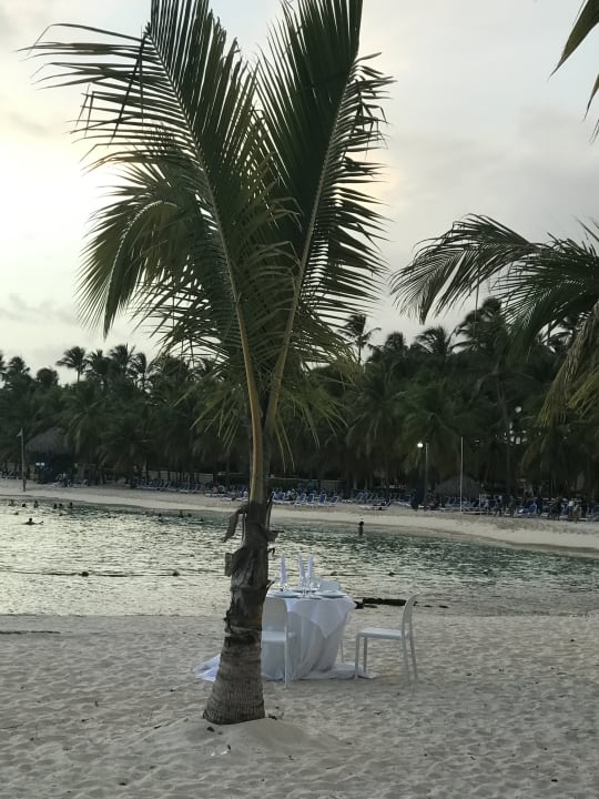 Strand Hotel Viva Dominicus Beach by Wyndham - All Inclusive Resort