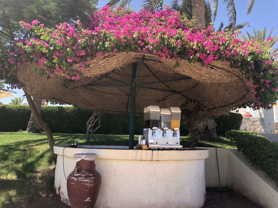 Gartenanlage Sharm Club Beach Resort