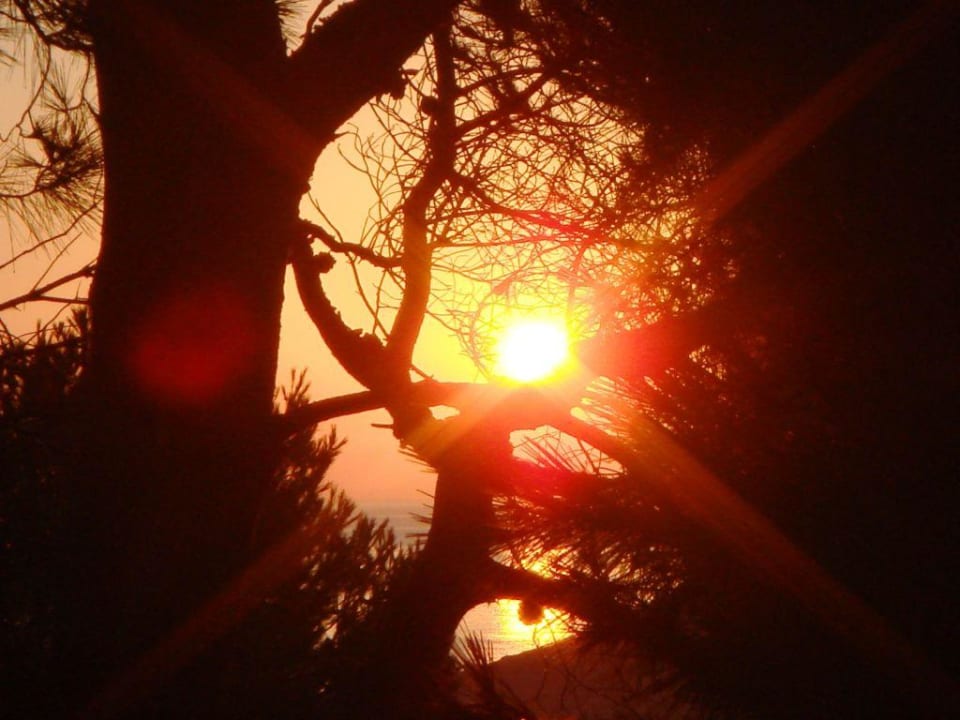 Sonnenaufgang VIVA Cala Mesquida Suites & Spa 16+