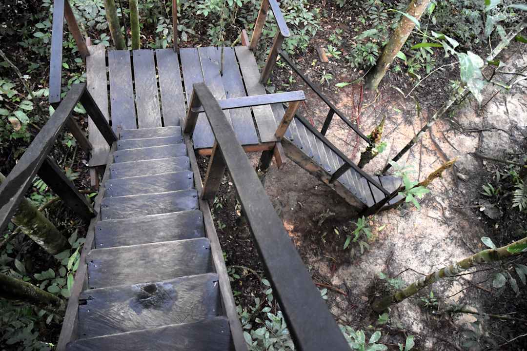 Sonstiges Guesthouse Reserva Natural Tanimboca