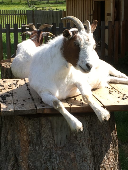 Sonstiges Hotel Blasiwirt