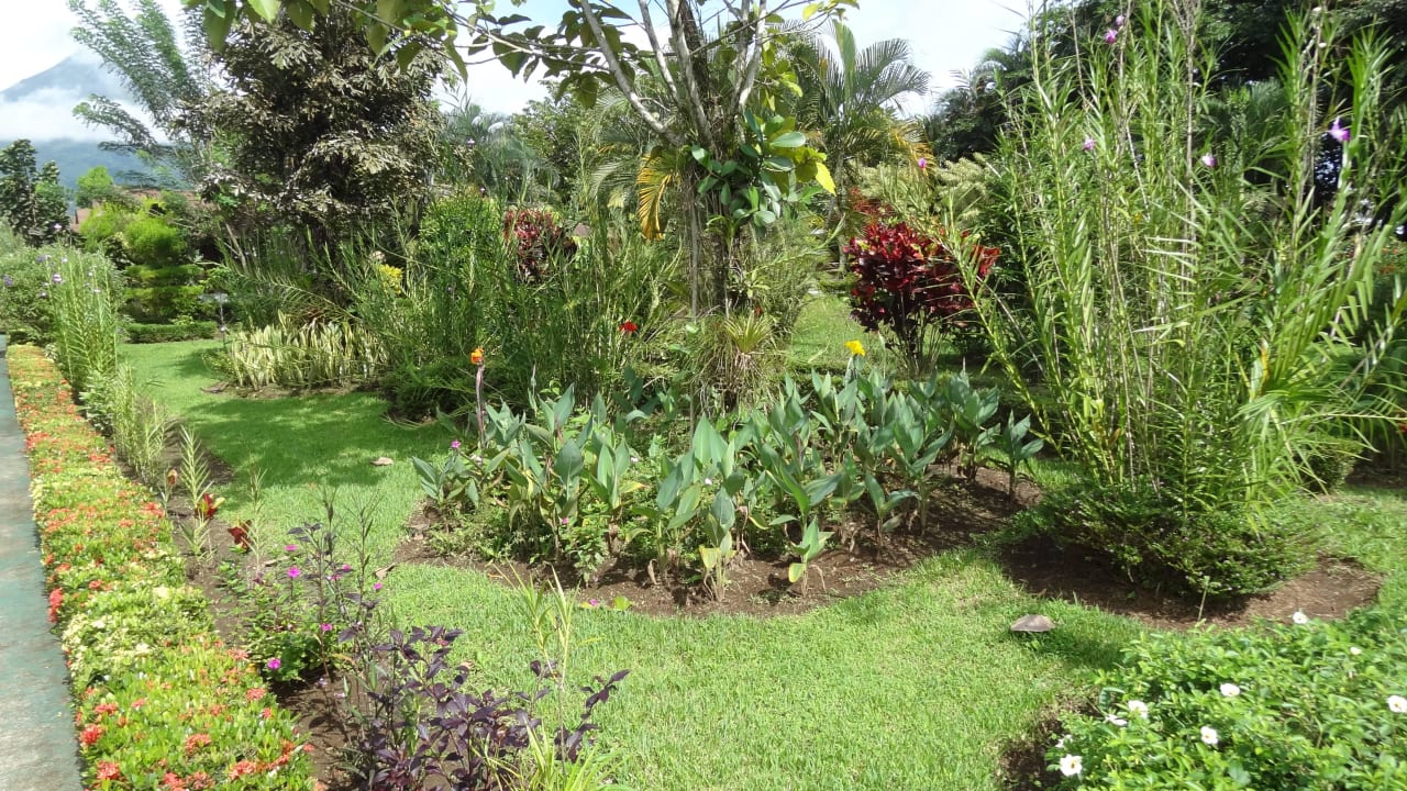 Hotel with beautiful gardens Hotel Arenal Montechiari