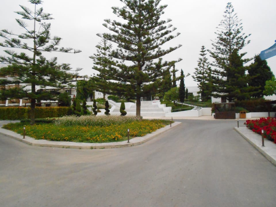 Anlage vor dem Hoteleingang TUI BLUE Oceanis Beach and Spa Resort