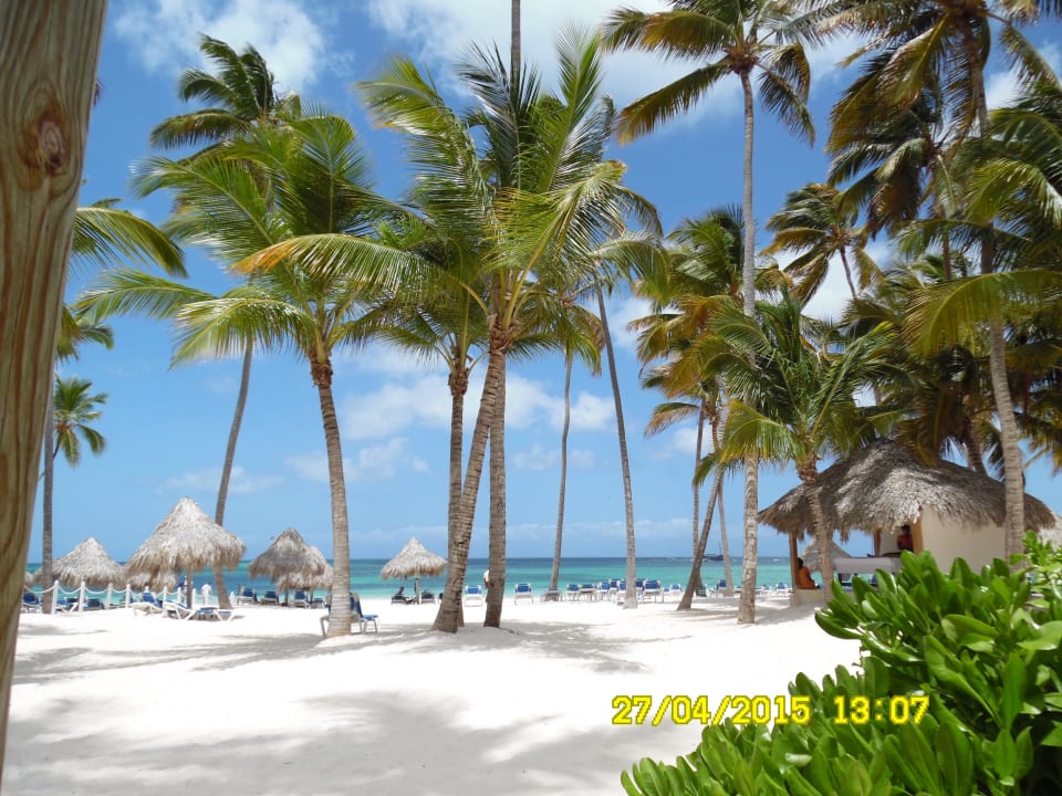 Hotelstrand Meliá Caribe Beach Resort-All Inclusive