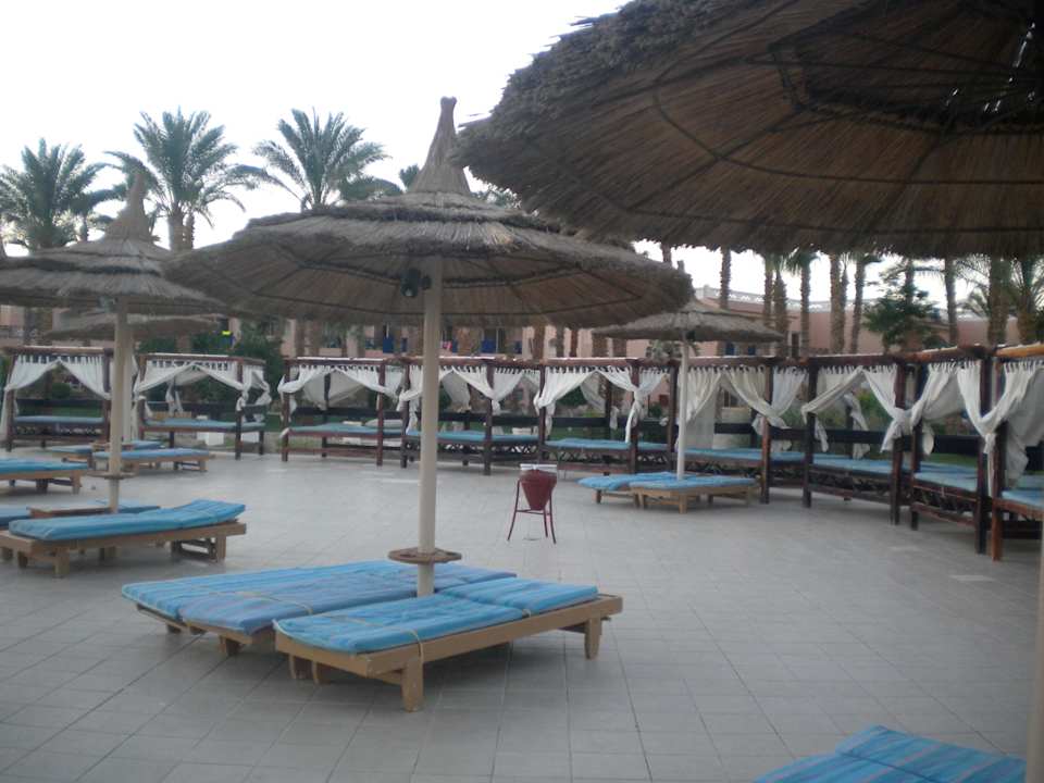 Liegen am Pool - toll Beach Albatros Resort