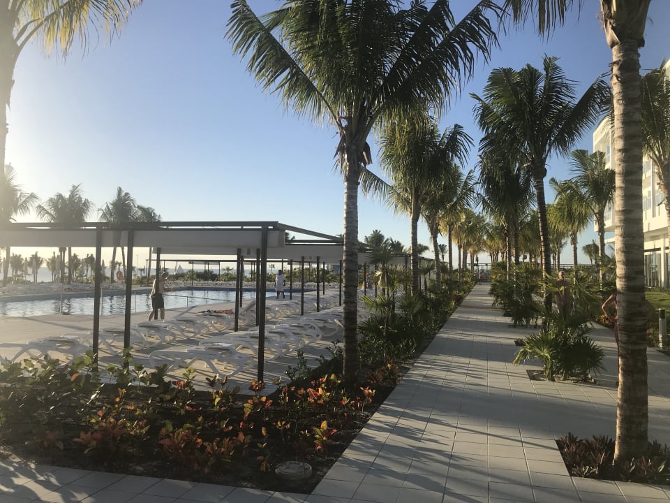 Pool Hotel Riu Dunamar