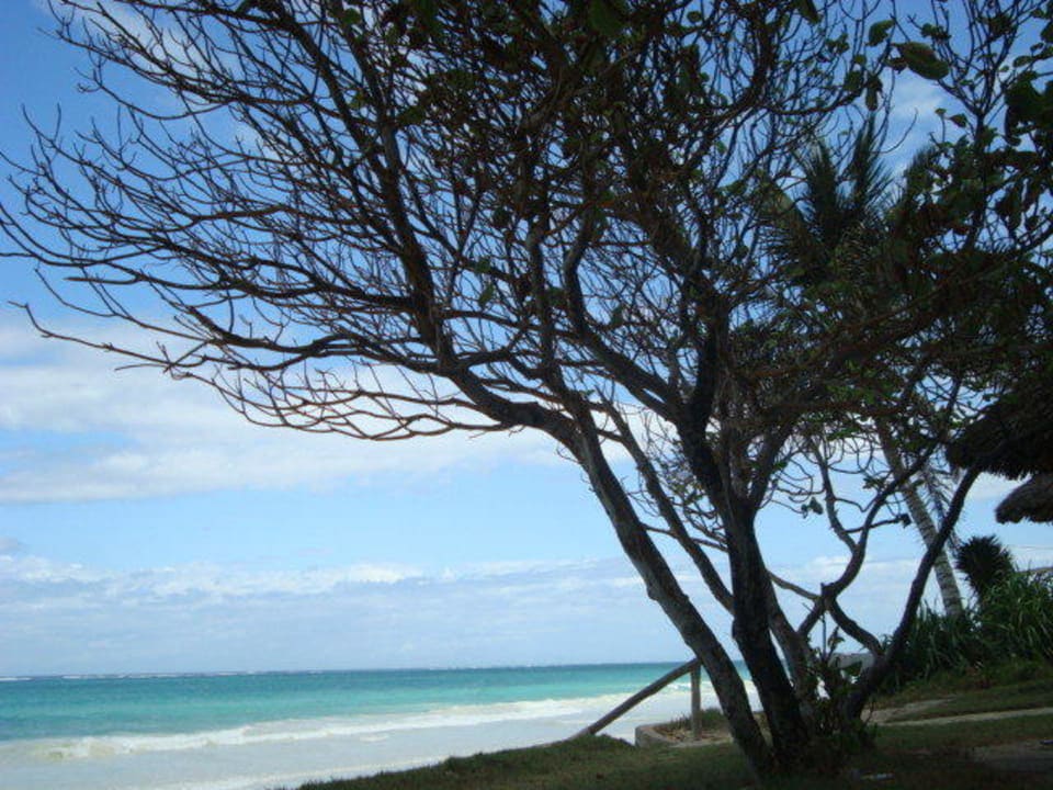 Wunderschöner Hotelstrand. Diani Sea Resort