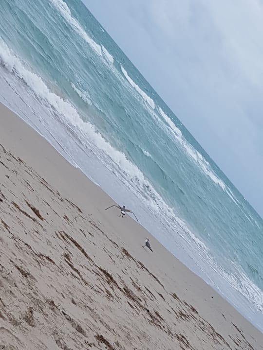 Strand Hotel Sole On The Ocean