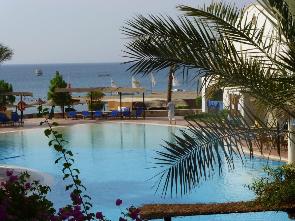 Ausblick von unserem Zimmer JAZ Dahabeya