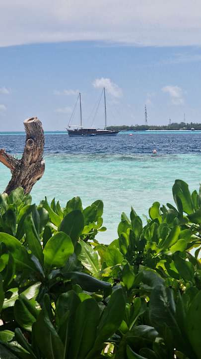 Gastro Vilamendhoo Island Resort & Spa