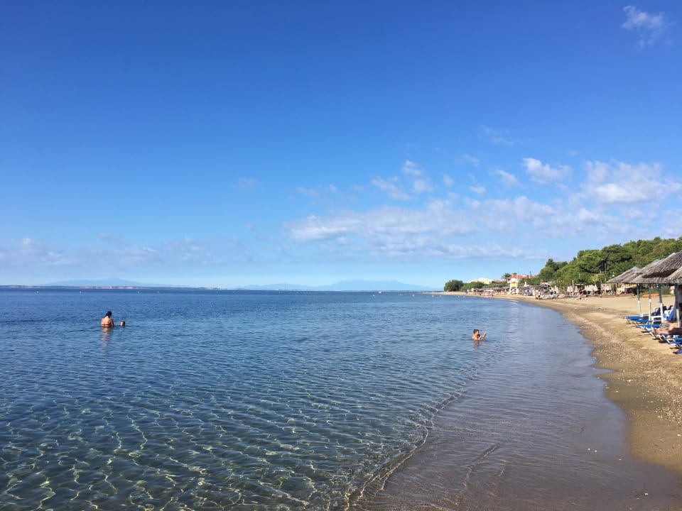 Strand Hotel Melissa Gold Coast