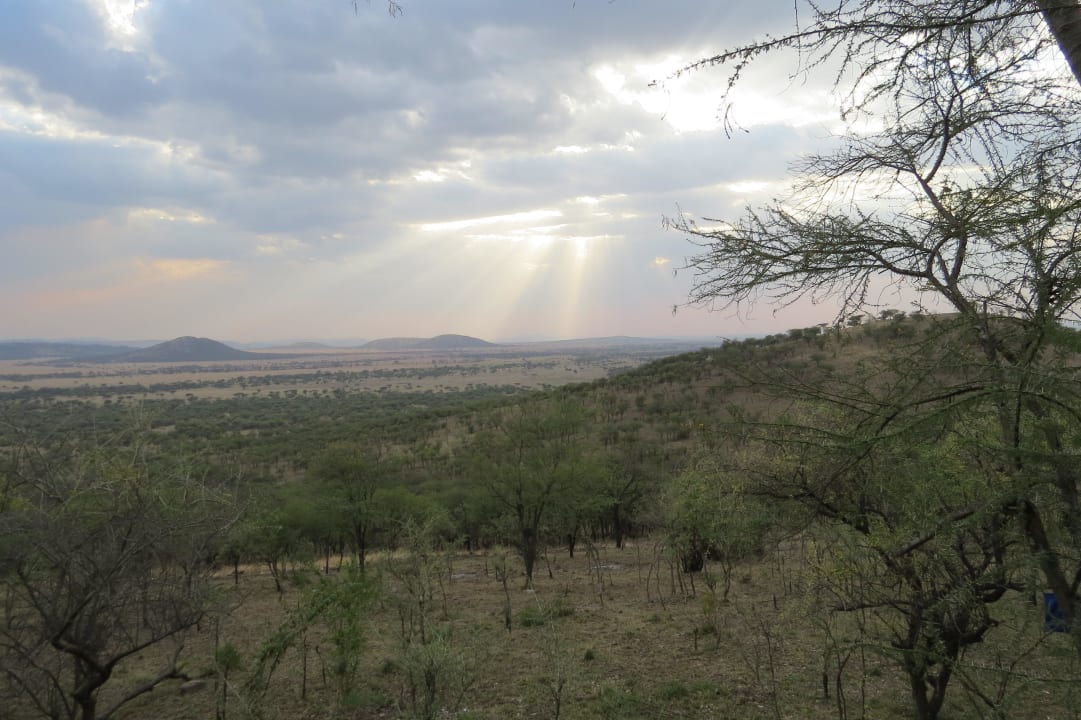 Blick vom Zimmer Nummer 18 Serengeti Serena Safari Lodge