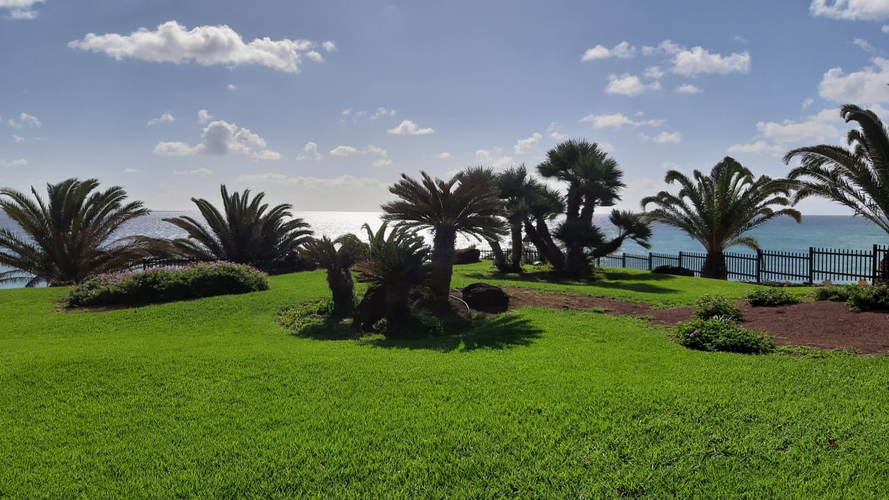 Gartenanlage R2 Pajara Beach