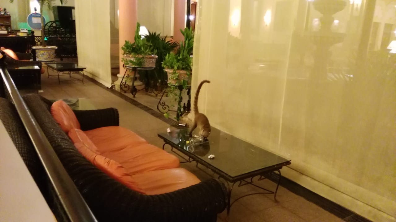 Lobby Hotel Riu Tequila