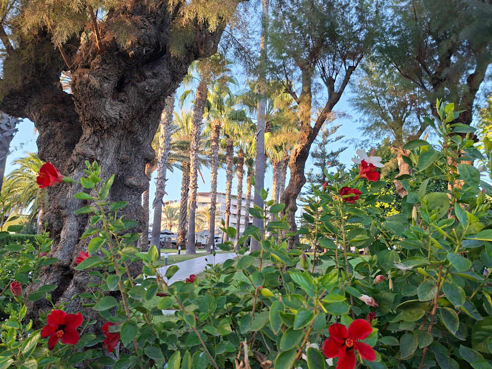 Außenansicht Hotel Miramare Beach