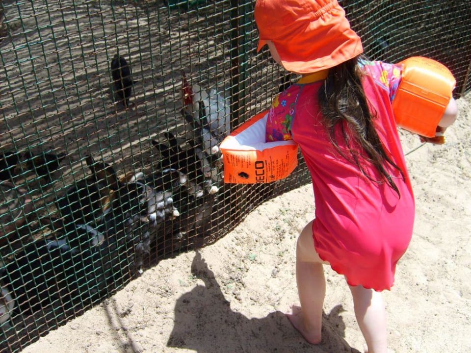 Mini Zoo Hotel Sangho Club Zarzis