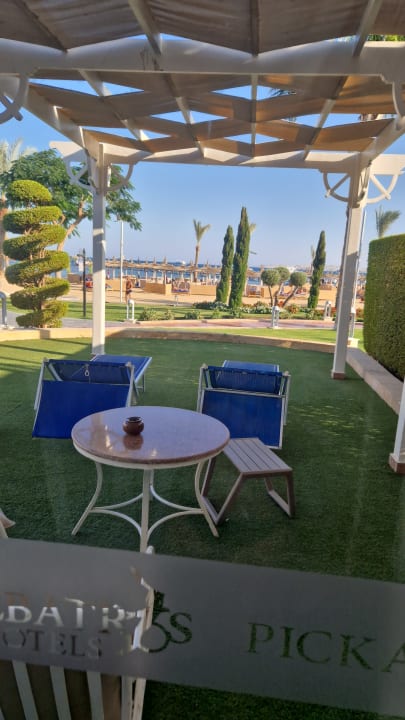 Zimmer Pickalbatros Palace Resort