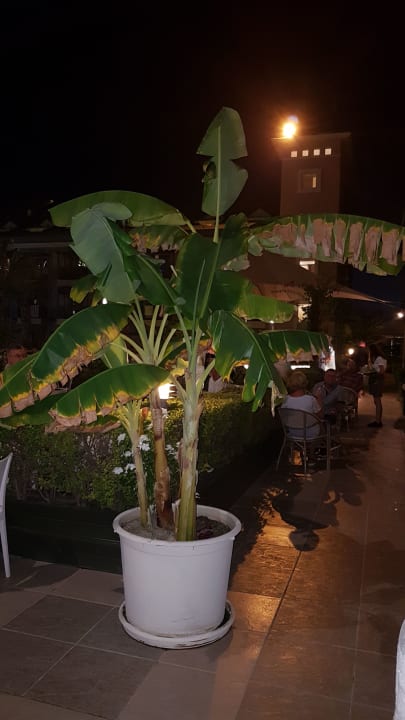 Gastro Can Garden Resort