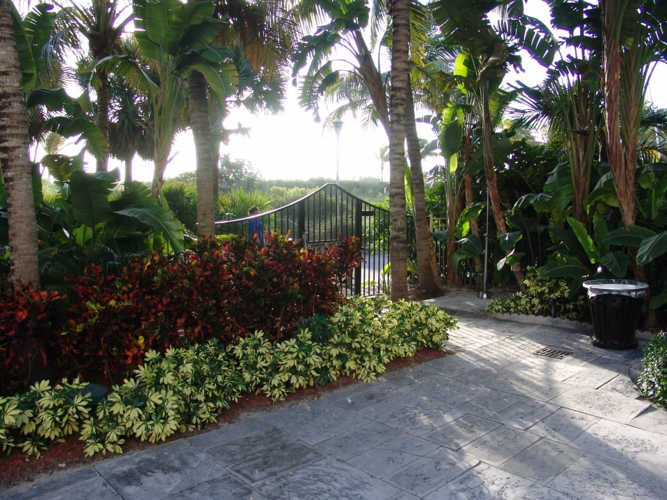 Vom Pool zum Beachwalk/Strand Royal Palm South Beach Miami, a Tribute Portfolio Resort