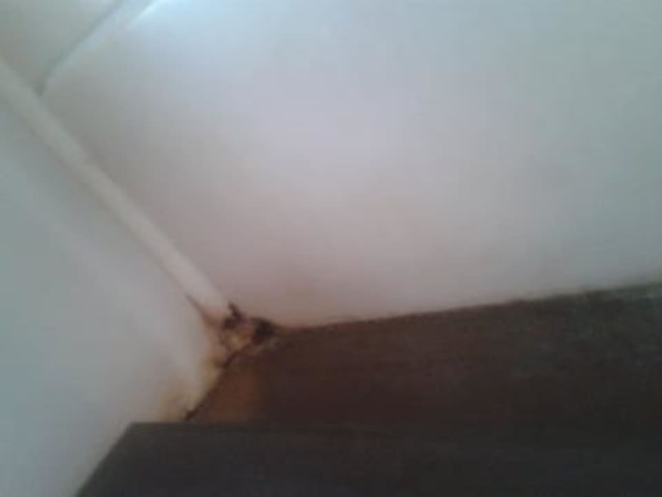 Bad Dusche innen Ferienwohnung Fubel