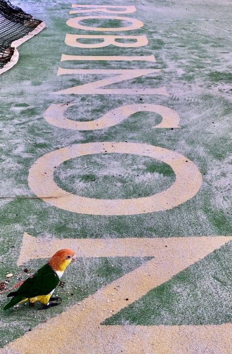 Sonstiges ROBINSON JANDIA PLAYA