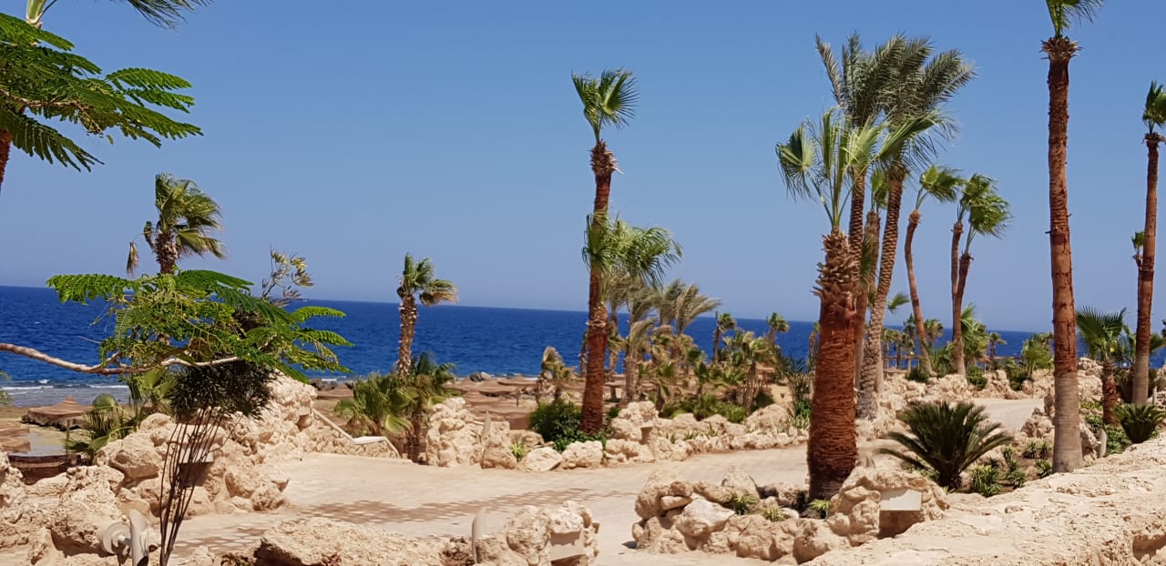 Strand Pickalbatros Citadel Resort