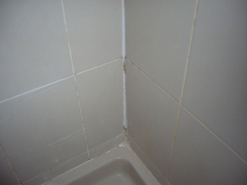 Schimmel und Dreck in der Dusche Pickalbatros Alf Leila Wa Leila Resort - Neverland Hurghada