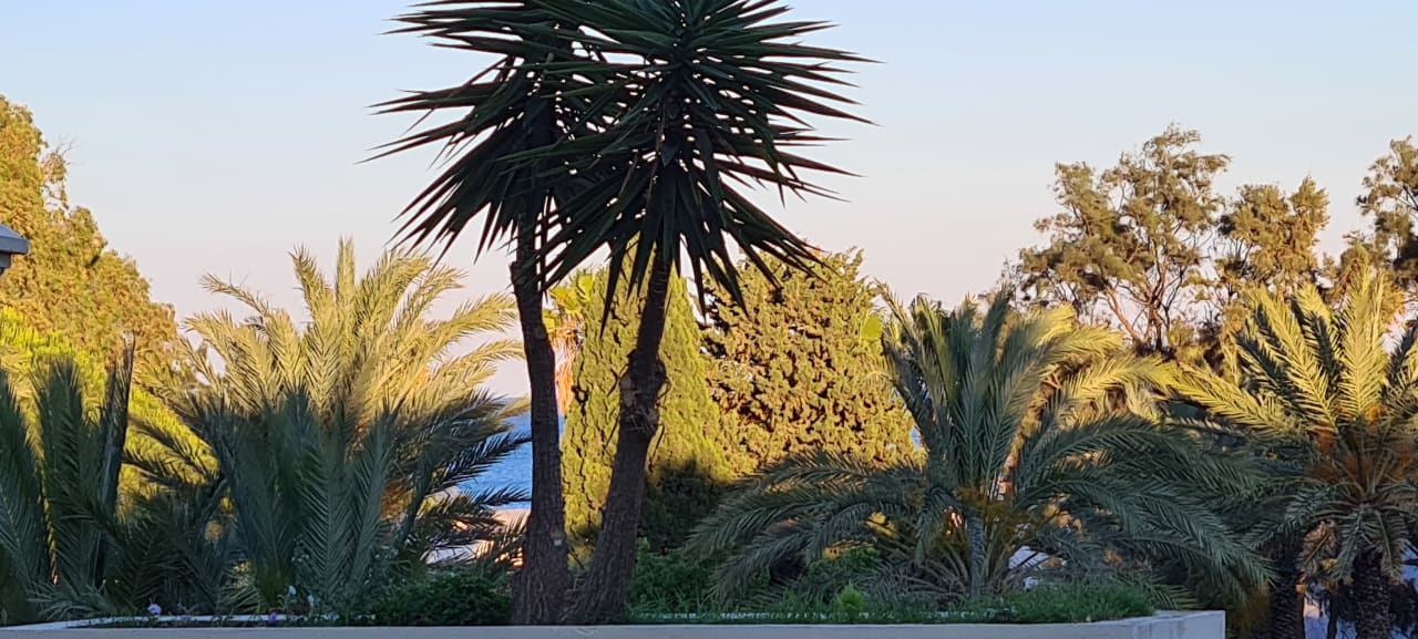 Ausblick Steigenberger Marhaba Thalasso Hammamet