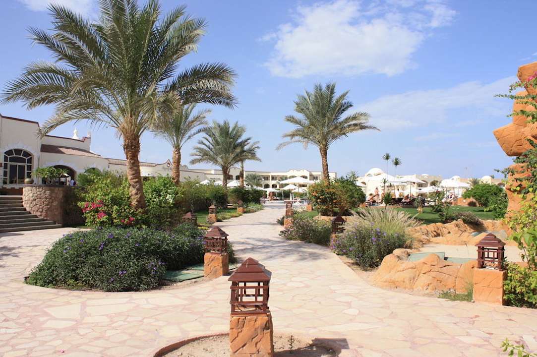 Ogród Regency Plaza Aqua Park & Spa