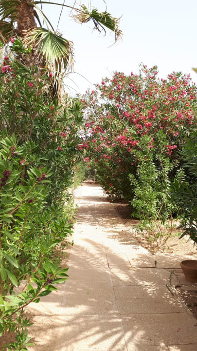 Gartenanlage Hotel Sangho Club Zarzis