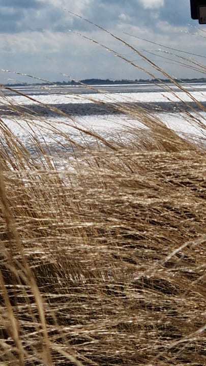 Strand ATLANTIC Hotel Wilhelmshaven