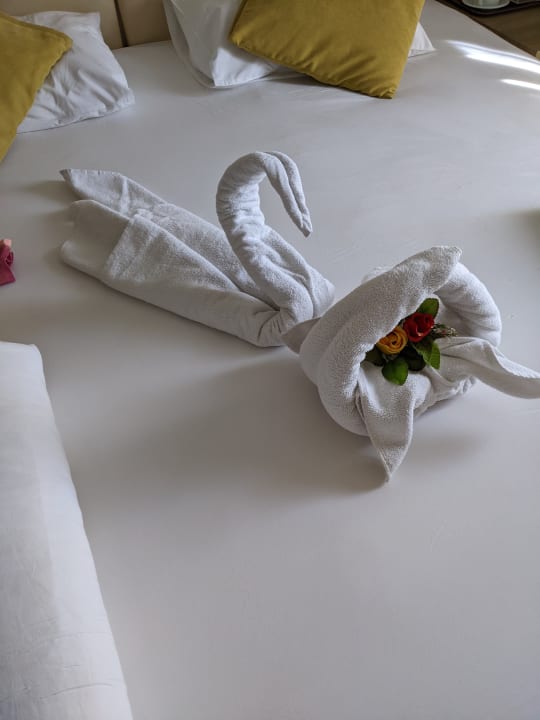 Zimmer Calimera Hane Garden