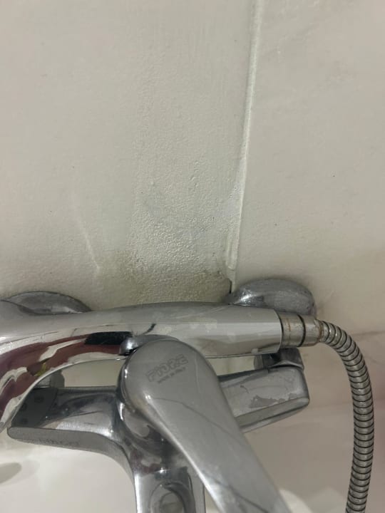 Zimmer Sunshine Rhodes