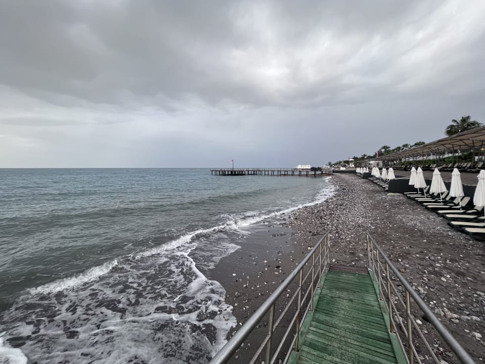 Strand Crystal Flora Pearl Collection