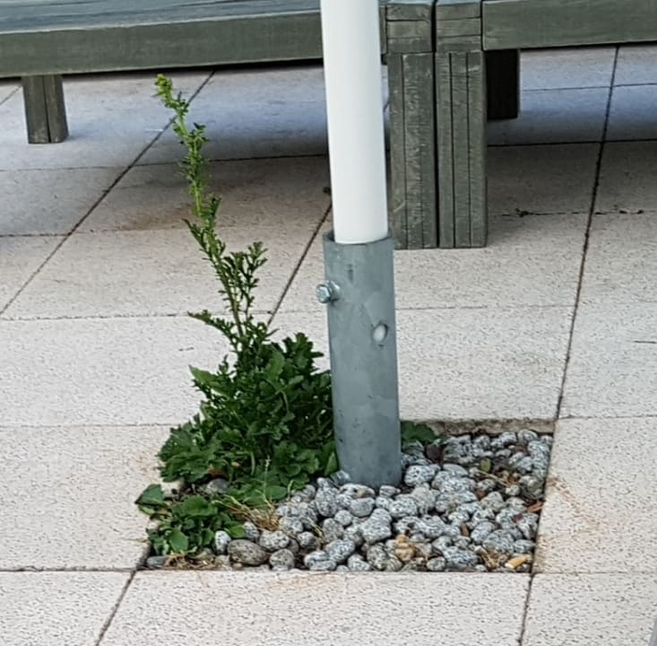 Sonstiges DORMERO Hotel Bonn - Windhagen