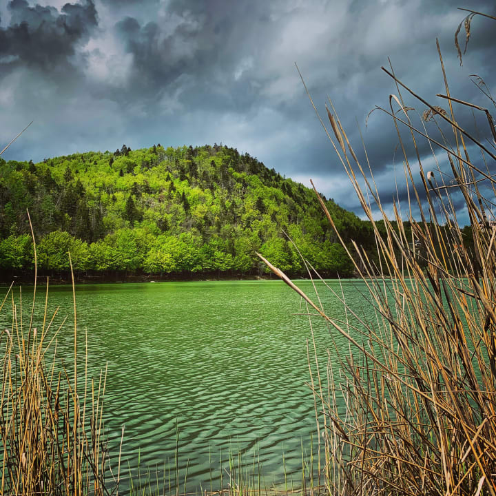 Ausblick Hotel du Lac Parc & Residence