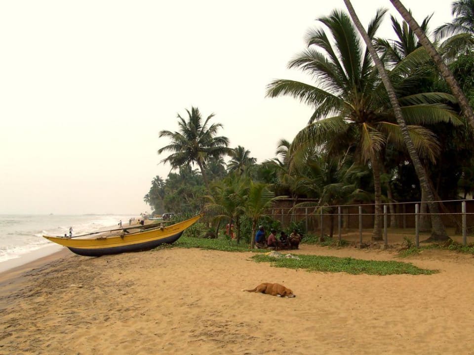 Strand vor dem Mermaid Mermaid Hotel & Club