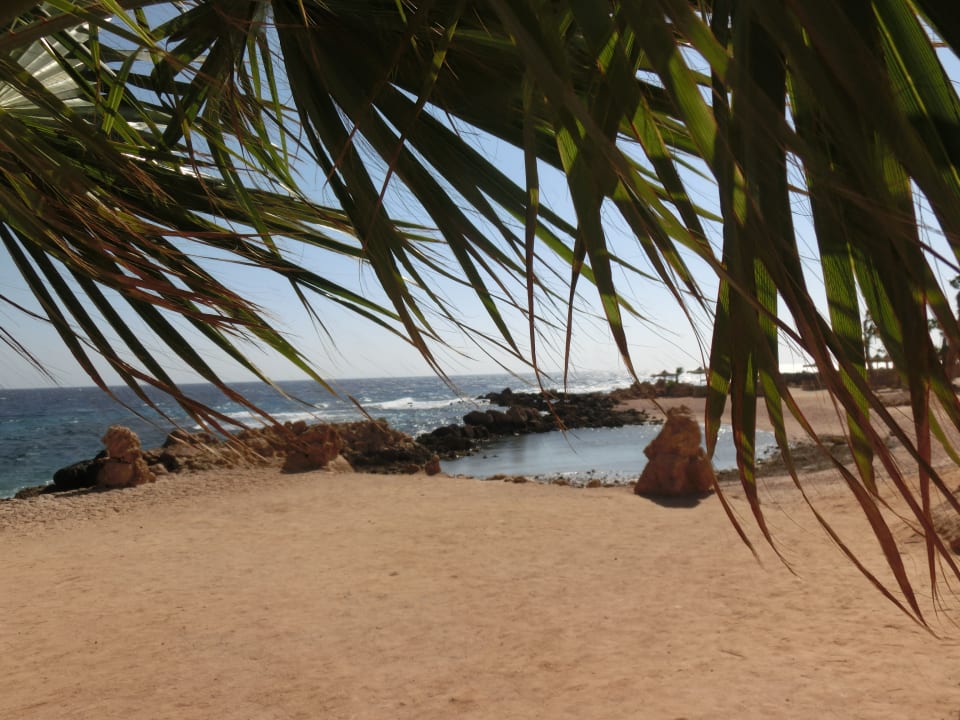 Strand Pickalbatros Citadel Resort