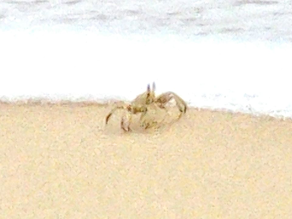 Strand Hotel Riu Touareg