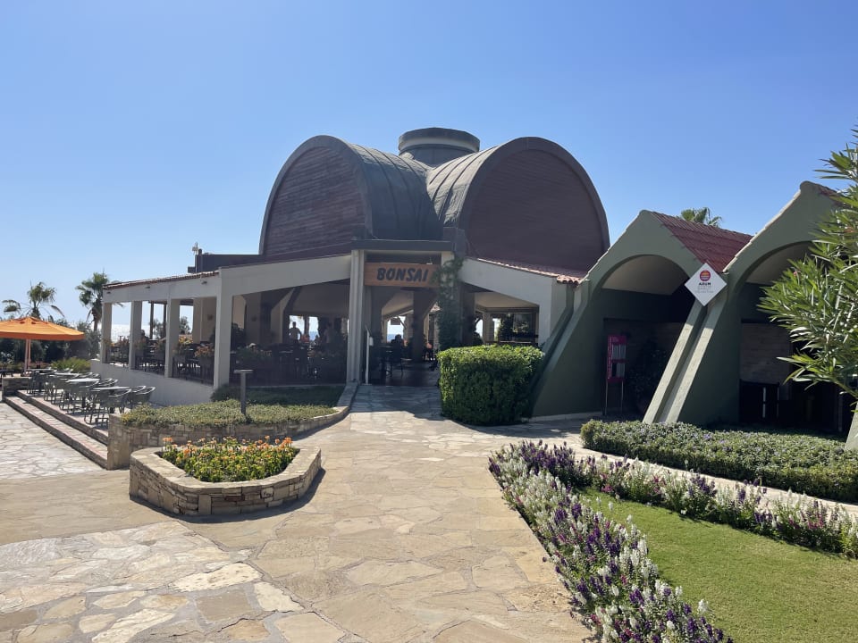 Gastro Arum Barut Collection