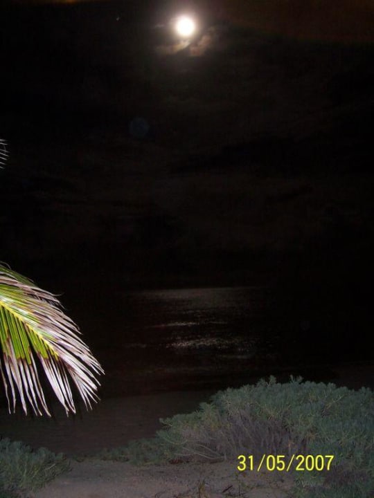 Nachts am Strand von Club Hotel Akumal Beach Akumal Bay Beach & Wellness Resort